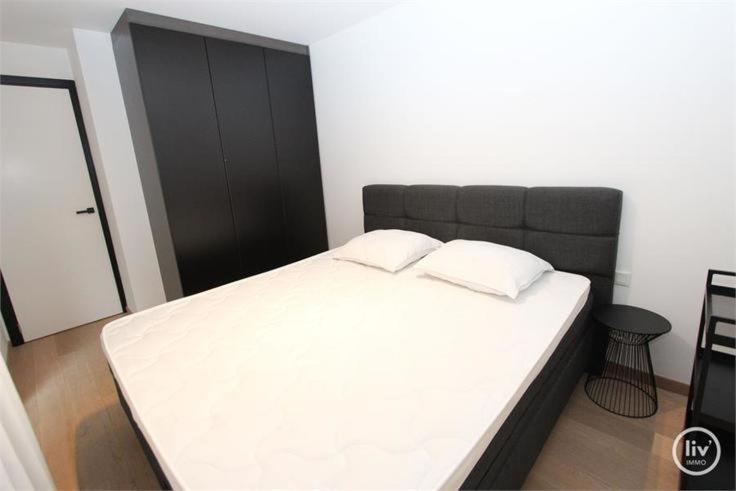 Appartement Spacieux A Knokke Eksteriør billede